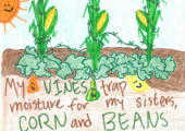 "My vines trap moisture for my sisters, corn and beans."