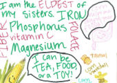 "I am the eldest of my sisters and provide iron, fiber, magnesium and vitamin C."